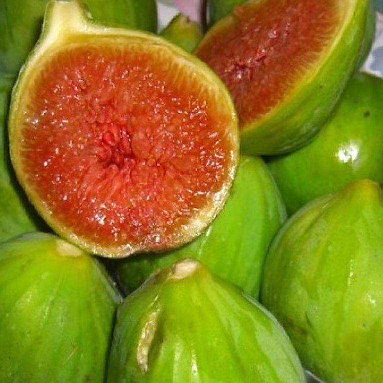 Ifioridisicilia Acomodação com café da manhã Campofelice Di Roccella Exterior foto