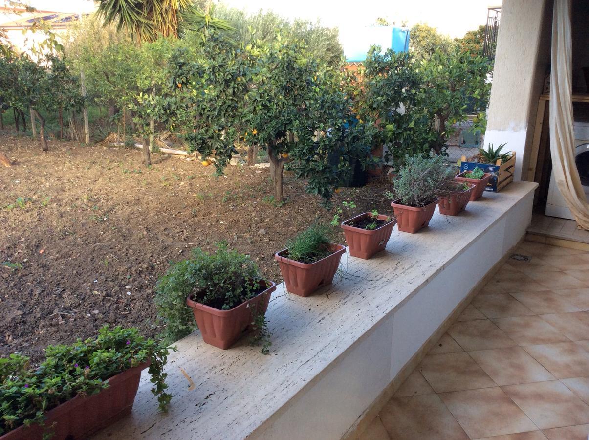 Ifioridisicilia Acomodação com café da manhã Campofelice Di Roccella Exterior foto