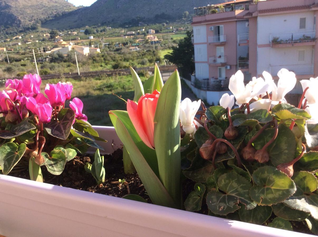 Ifioridisicilia Acomodação com café da manhã Campofelice Di Roccella Exterior foto